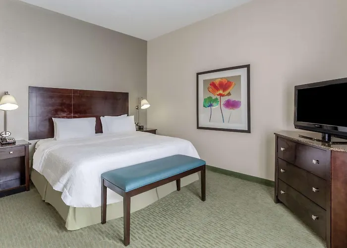 Hampton Inn Richmond - South