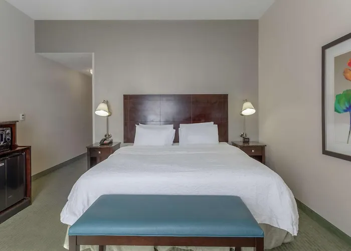 Hampton Inn Richmond - South